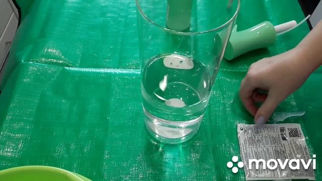 КОМНАТНЫЕ РАСТЕНИЯ(ЦВЕТЫ).БОМБИЧЕСКАЯ НОВИНОЧКА.ЧТО Я ДЕЛАЮ С РАСТЕНИЕМ,ПОСЛЕ ПЕРЕСЫЛКИ. смотреть онлайн