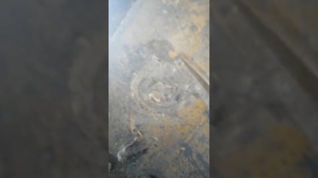 Бульдозер CATERPILLAR D9R, вид снизу? смотреть онлайн