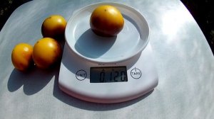 Томат Великолепный Белый + П20 (Great White + P 20)