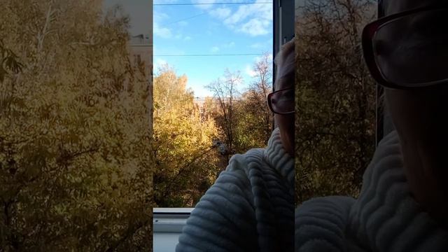 Мы сегодня дышим в окно)) На улице+10 и солнечно смотреть онлайн