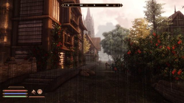 Bevilex modded Oblivion - Walking in Leyawiin - Early morning смотреть онлайн