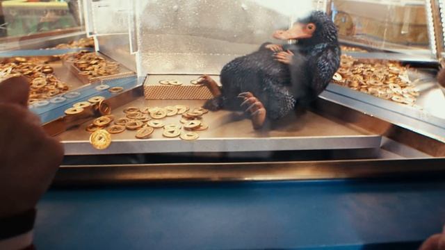 Harry Potter: Wizards Unite | Discombobulated Niffler смотреть онлайн