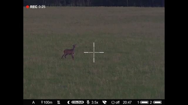 Видео с прицела день/ночь Pulsar Digex C50 смотреть онлайн