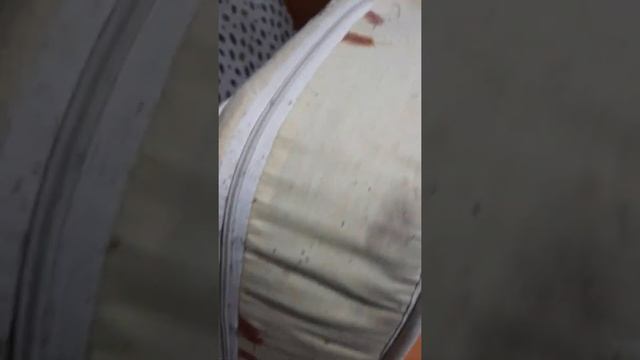 Как выглядят клопы? смотреть онлайн