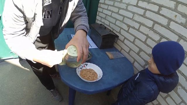 КОПЧЕНА САЛАКА, ІДЕАЛЬНО ДО ПИВА смотреть онлайн