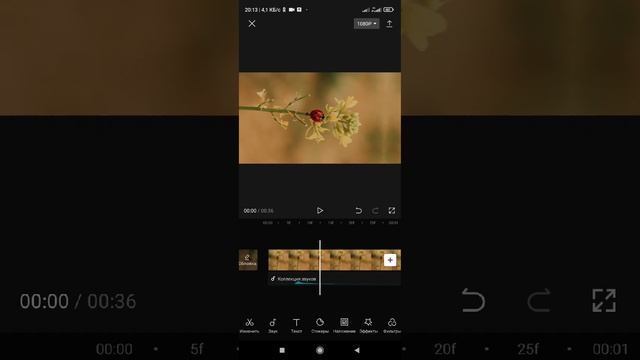 Обзор приложения CupCut. Как можно смонтировать видео. Короткий Клип Reels, Shorts