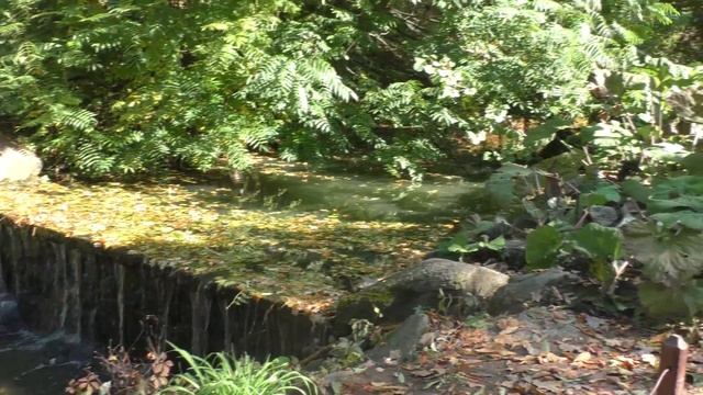 УМАНЬ / СОФИЕВСКИЙ ПАРК / ИНТЕРЕСНЫЕ ФАКТЫ / ЭКСКУРСИЯ ЧАСТЬ 2 / ОТЕЛИ УМАНЬ смотреть онлайн