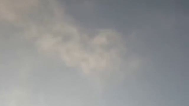 солнце и растения смотреть онлайн
