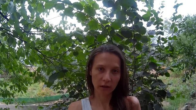 Почему мускусный утенок не растет? смотреть онлайн