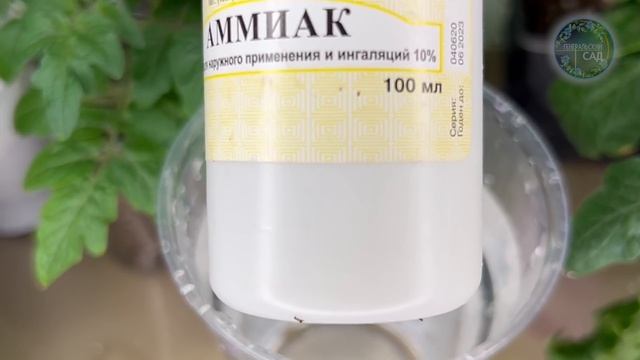 Рассада Толстая, Здоровая и Не Вытягивается! Простое Мощное Средство для Подпитки Рассады. смотреть онлайн