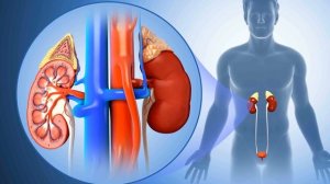 ЕСЛИ У ВАС ЭТИ СИМПТОМЫ ЗНАЧИТ У ВАС БОЛЬНЫ ПОЧКИ | 12 признаков того что у вас больные почки