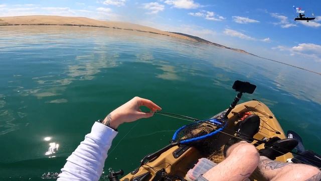 Je pêche le bar en kayak sur le bassin d'Arcachon смотреть онлайн