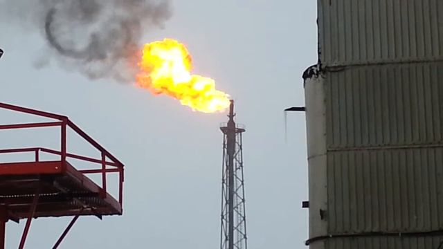 факел горит огонь смотреть онлайн
