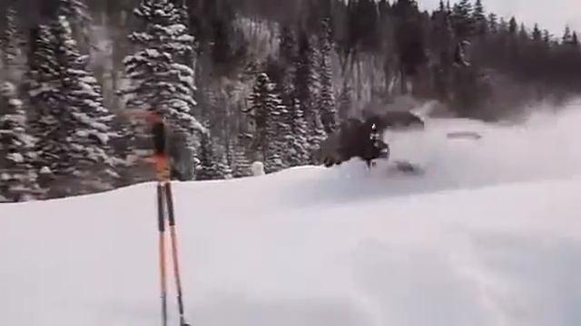 Изюбрь смотреть онлайн