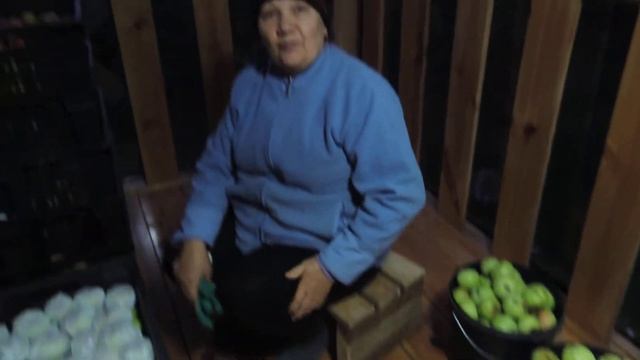 Правильная закладка яблок для долгого хранения смотреть онлайн