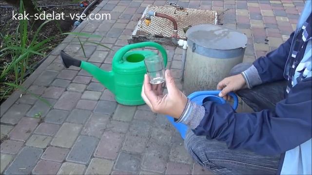 Как подкислить голубику. Полив голубики электролитом смотреть онлайн