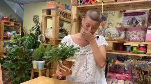 Давалия - папоротник с паучьими ножками | Красота спасет мир...