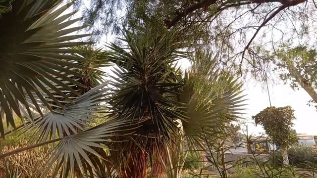 Удивительный ремонт