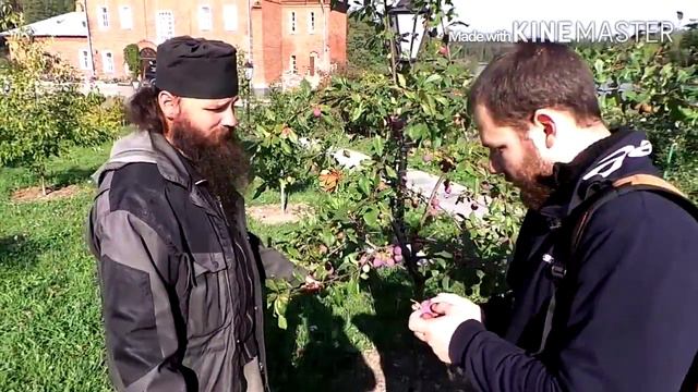 Валаамская ферма - 2 (Часть 2) смотреть онлайн