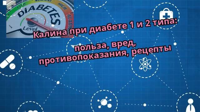 Калина при диабете 1 и 2 типа: польза, вред, противопоказания, рецепты смотреть онлайн
