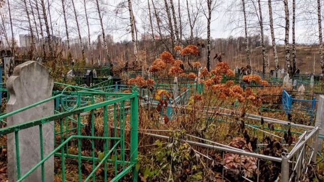 Хозяин города мира мертвых смотреть онлайн