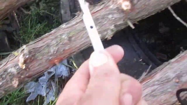 Можжевельник древесина для столешниц 04.12.2022 смотреть онлайн