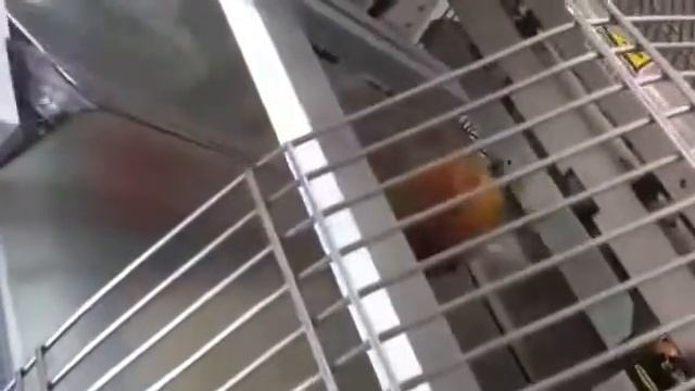 Lorapack Crima смотреть онлайн