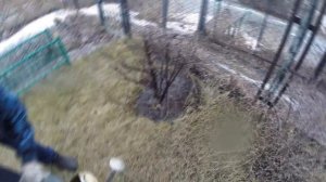 Весенний полив смородины горячей водой