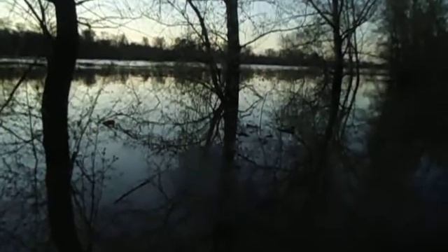 река белая . уфа 3 мая 2020 смотреть онлайн