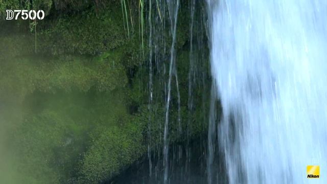 Nikon D7500 | En busca de la perfección | Vídeo 4K UHD смотреть онлайн