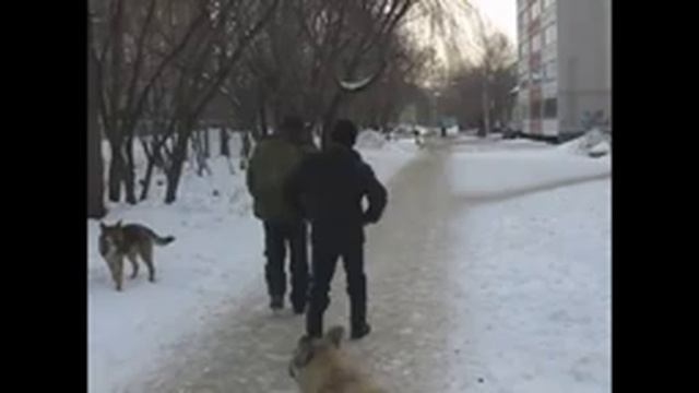 Дорогие девушки поздравляю вас с вашим 8 Марта ! смотреть онлайн