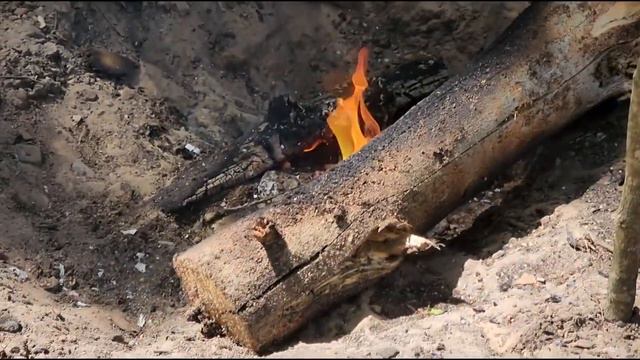 В Рузском округе на берегах водоемов на регулярной основе проходят противопожарные рейды смотреть онлайн