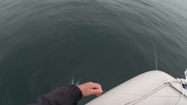Рыбалка в Приморье. Морская рыбалка. Бухта Средняя. 25.03.2022 г. Минтай. смотреть онлайн