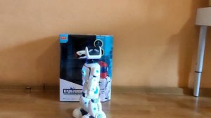 Обзор на Гидролектрический робот Zhorya 22005 на радиоуправлении.