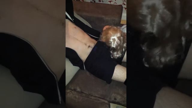 Manfred Manson смотреть онлайн