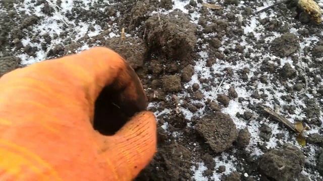 Коп возле болота!!!Монеты прямо сверху! #КОП 2020 смотреть онлайн