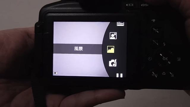 Nikon CoolPix P900 Test смотреть онлайн