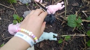 На даче С собачками