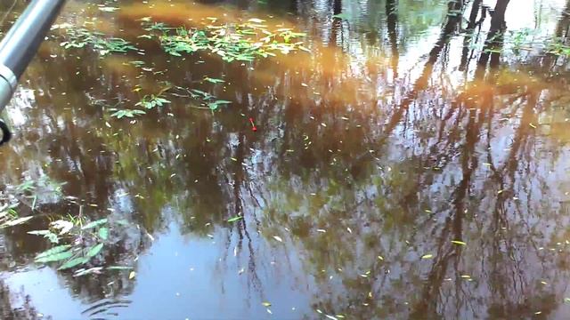 Рыбалка на реке омь смотреть онлайн