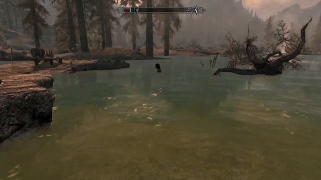 The Elder Scrolls v Skyrim. Не такое и великое древо. смотреть онлайн