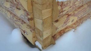 сруб в лапу 10х10