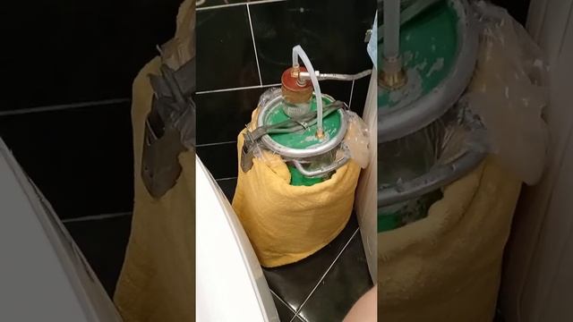 Как избавиться от запаха браги смотреть онлайн