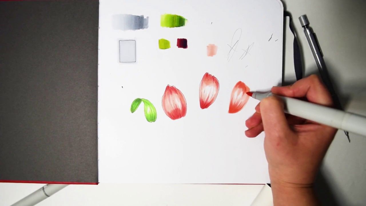 Как рисовать лепестки цветов маркерами смотреть онлайн
