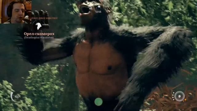 Ancestors: The Humankind Odyssey. Прохождение #3. Убить орла и строительство. смотреть онлайн