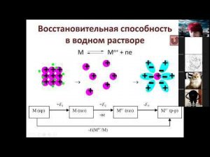 011 Электрохимия 2 электродные потенциалы