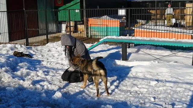 ЭНЖЕЛ забавнюха