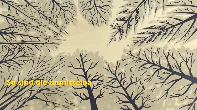 How does the forrest react to climate change? смотреть онлайн