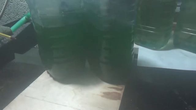 Итог эксперимента выращивания спирулины подводить рано? смотреть онлайн