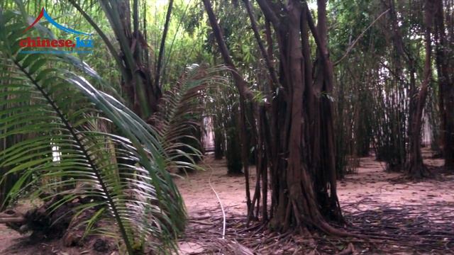 Sanya Aviation And Tourism College