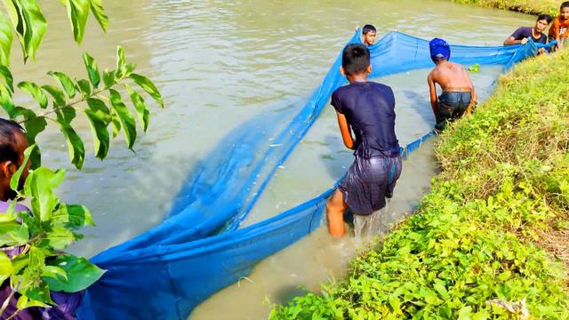 Amazing net fishing - Traditional net fishing in village - Fishing by net part - 2 смотреть онлайн